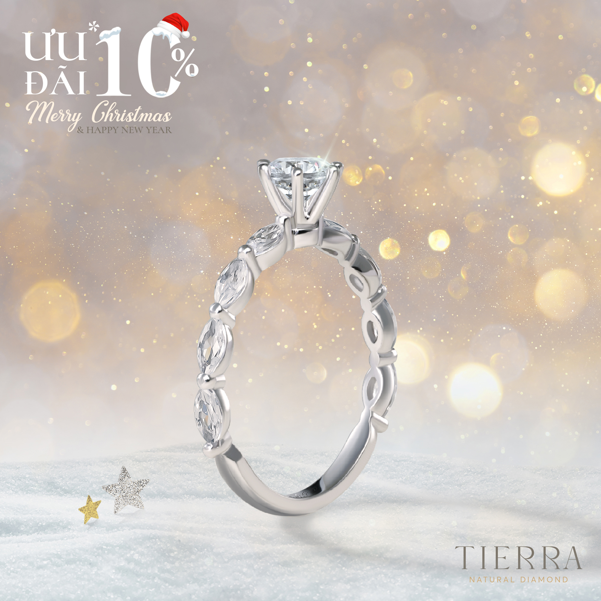 10% off all jewelry cases - Merry Christmas & Happy New year